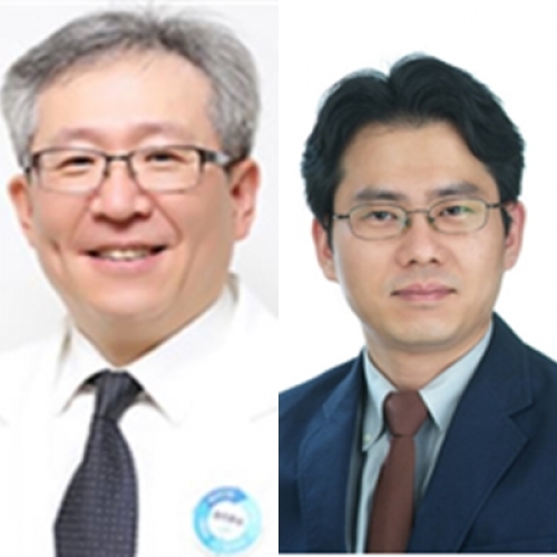 [Radiat Oncol.] Reliability of the gamma index analysis as a verification method of volumetric modulated arc therapy plans.