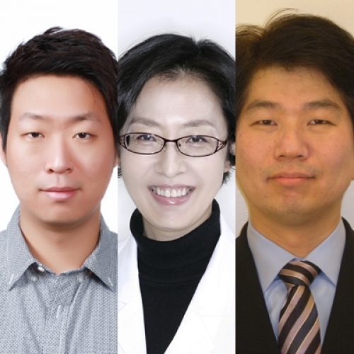 [J Biophotonics.] Comparison between reflectance confocal microscopy and 2-photon microscopy in early detection of cutaneous radiation injury in a mouse model in vivo.