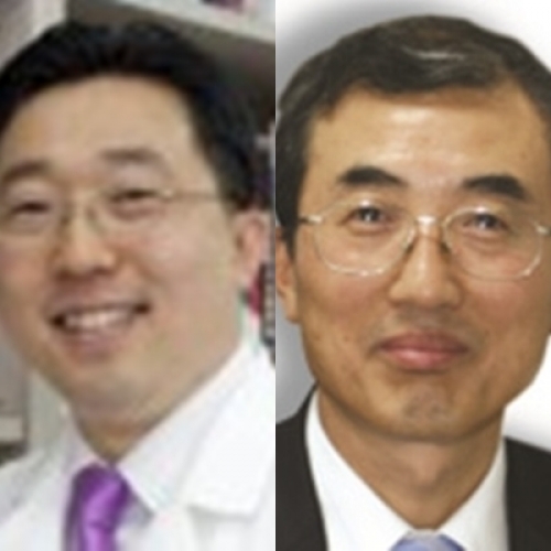 [J Med Chem.] Novel Hypoxia-Inducible Factor 1α (HIF-1α) Inhibitors for Angiogenesis-Related Ocular Diseases: Discovery of a Novel Scaffold via Ring-Truncation Strategy.