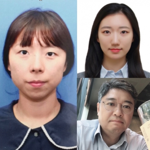 [Int J Radiat Oncol Biol Phys.] Ionizing radiation regulates vascular endothelial growth factor-A transcription in cultured human vascular endothelial cells via the PERK/eIF2α/ATF4 pathway.