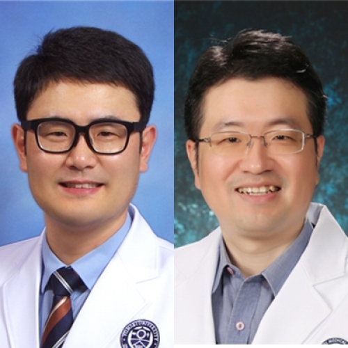 [Neoplasma.] Feasibility of Modulated Electro-Hyperthermia in Preoperative Treatment for Locally Advanced Rectal Cancer: Early Phase 2 Clinical Results 