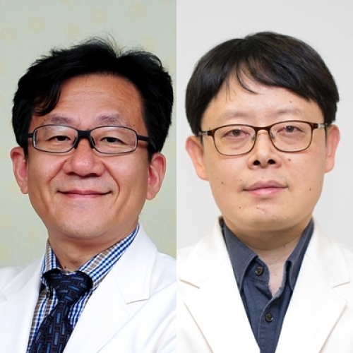 [Mar Drugs.] Topical Application of Phlorotannins from Brown Seaweed Mitigates Radiation Dermatitis in a Mouse Model 