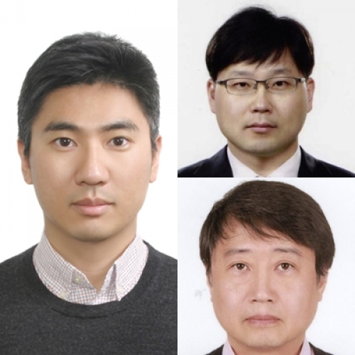 [PLoS One.] Plan optimization with L0-norm and group sparsity constraints for a new rotational, intensity-modulated brachytherapy for cervical cancer 