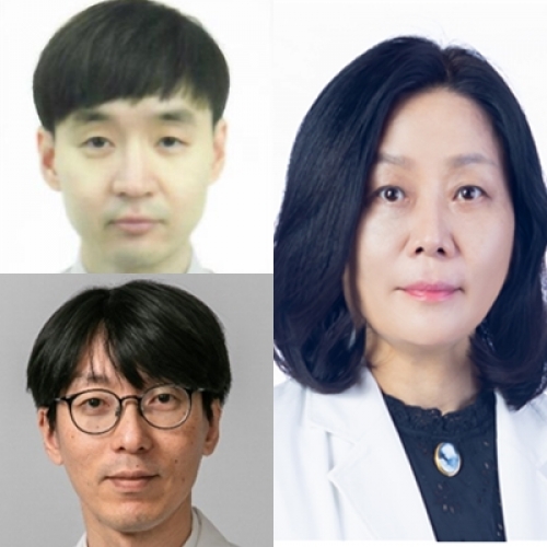 [Breast Cancer Res Treat.] New brain metastases after whole-brain radiotherapy of initial brain metastases in breast cancer patients: the significance of molecular subtypes (KROG 16-12) 