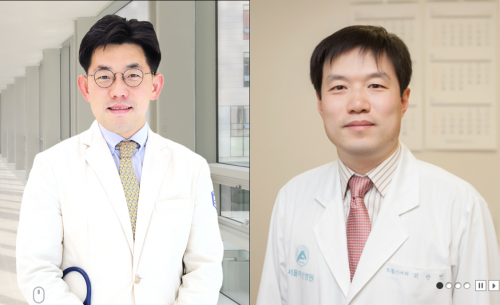 [J Clin Med.] Predictive Role of Prior Radiotherapy and Immunotherapy-Related Adverse Effects in Advanced NSCLC Patients Receiving Anti-PD-1/L1 Therapy 