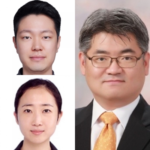 [Radiother Oncol.] A radiomic signature model to predict the chemoradiation-induced alteration in tumor-infiltrating CD8 + cells in locally advanced rectal cancer
