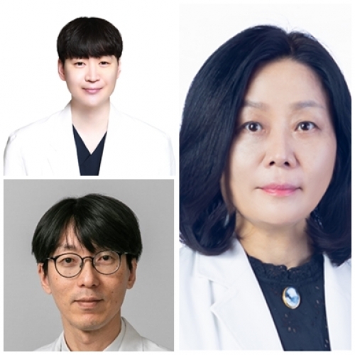 [방사선종양학 분야] 이화의대 김규보, 서울대 김재식, 김인아 교수님