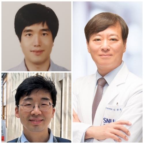 [Cancers (Basel) .] Prediction of Overall Disease Burden in (y)pN1 Breast Cancer Using Knowledge-Based Machine Learning Model