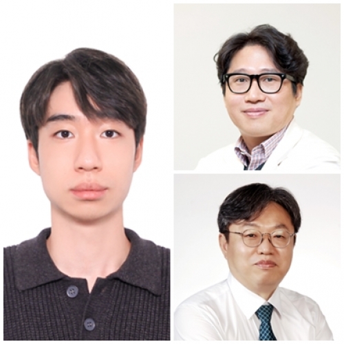 [Med Phys .] A device-dependent auto-segmentation method based on combined generalized and single-device datasets