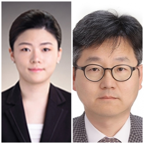 [Bioinorg Chem Appl .] Therapeutic Potential of Sodium Selenite Application for Promoting Radioactive Iodine Avidity in Papillary Thyroid Cancer