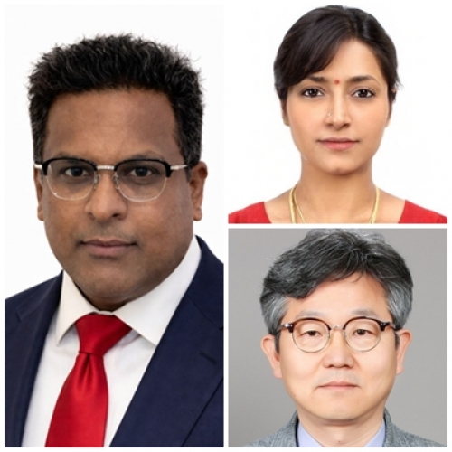 [Front Cell Dev Biol .] Bioinspired artificial nanovesicles engineered from 3D spheroid-cultured UC-MSCs enhance angiogenic activity in vitro: functional proof-of-concept for ischemic applications