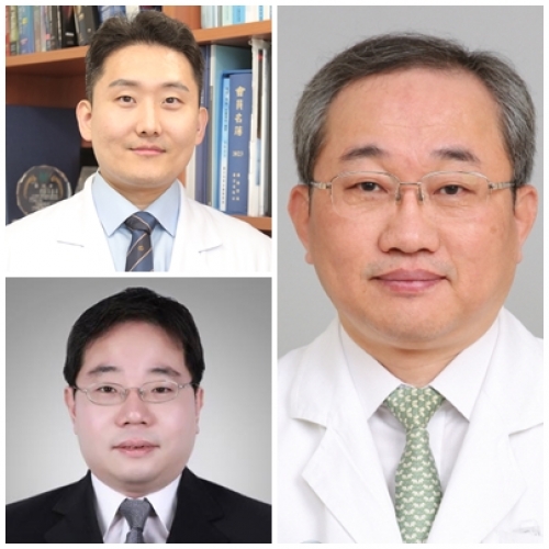 [PLoS One .] Development of AI-based dopamine transporter (DAT) image generation technique using early phase [18F]-FP-CIT PET imaging
