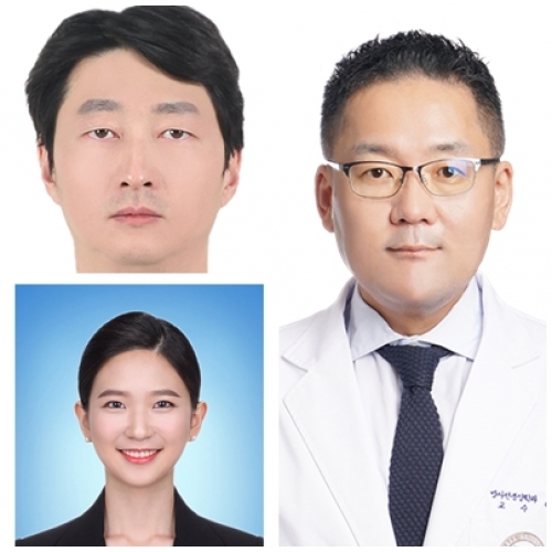 [J Appl Clin Med Phys .] The illusory correlation between geometrical similarity and physician satisfaction in heart auto-segmentation revealed by a physician-blind test