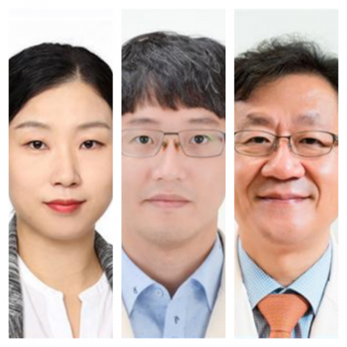 [Eur J Oncol Nurs .] Unmet needs of patients with cancer undergoing radiotherapy in Korea: A qualitative study