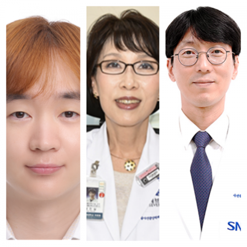 [방사선종양학 분야] 순천향대 김재식님, 연세대 성진실 교수님, 분당서울대병원 김규보 교수님