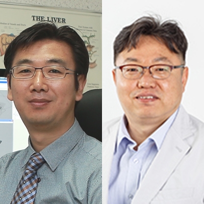 [Radiother Oncol] Development of a novel proton dosimetry system using an array of fiber-optic Cerenkov radiation sensors.