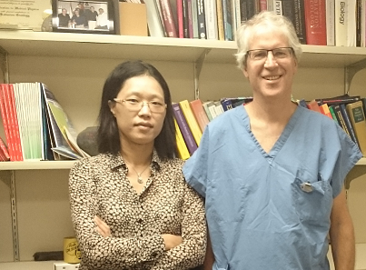 [Med Phys. ] A feasibility study of dynamic adaptive radiotherapy for nonsmall cell lung cancer.